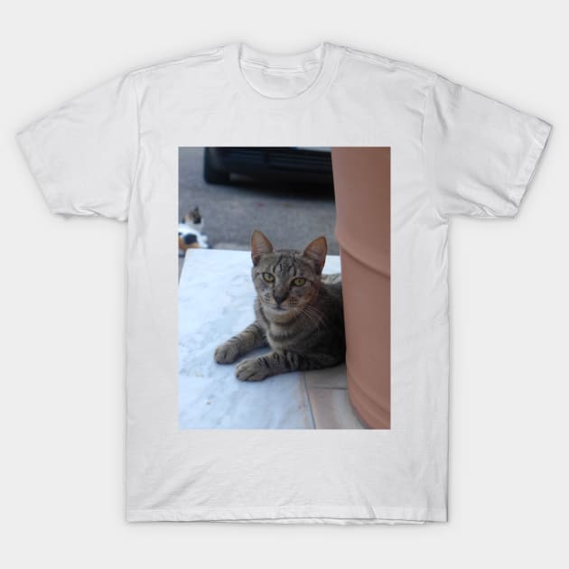 Alex Cat Portrait T-Shirt by Sandraartist